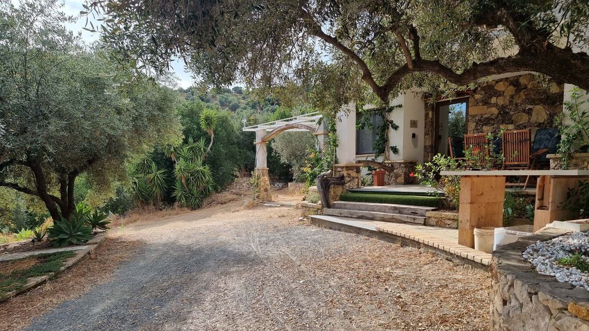 Entrance of the Sa Medada farmhouse under an old olive tree: Project Eden, Jerzu, Sardinia