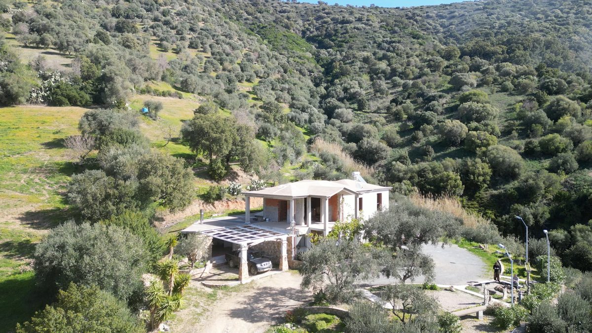 Aerial view of the Sa Medada house nestled in the wooded hillside