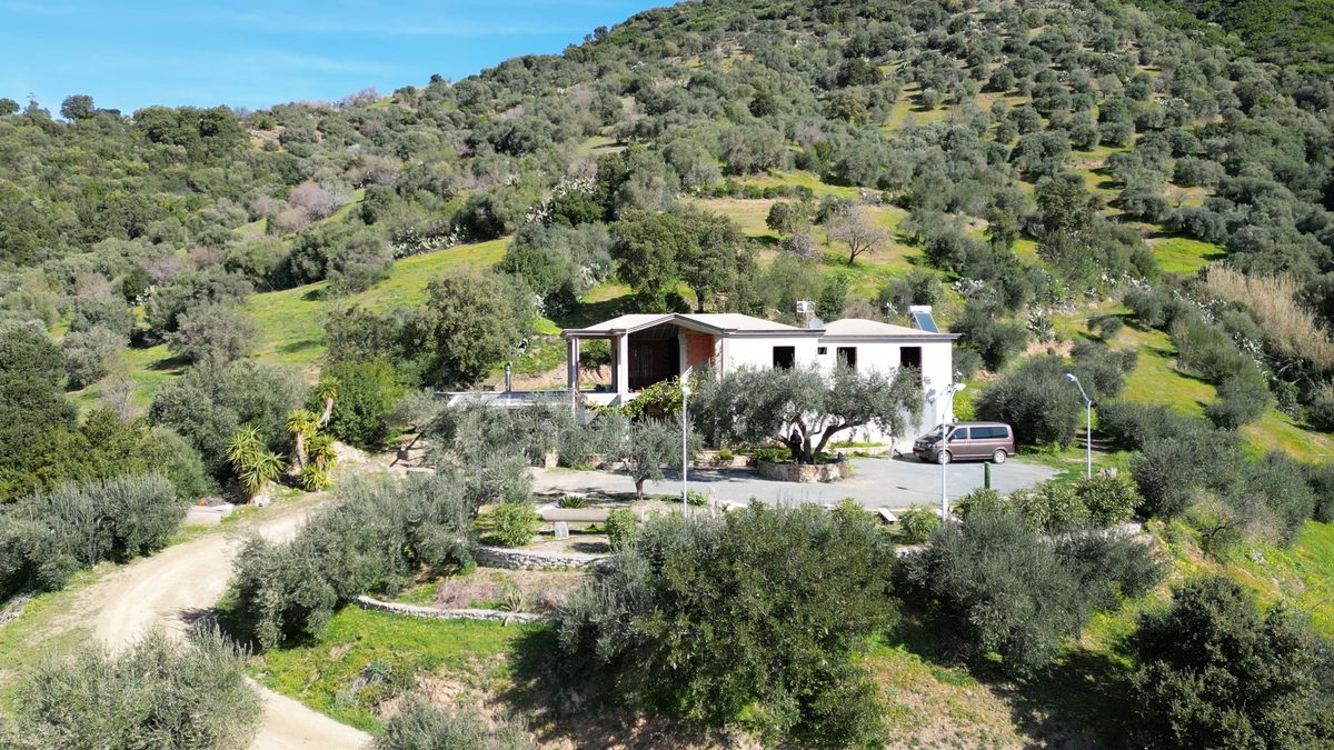 The Sa Medada farmhouse surrounded by ancient olive trees, Jerzu, Sardinia