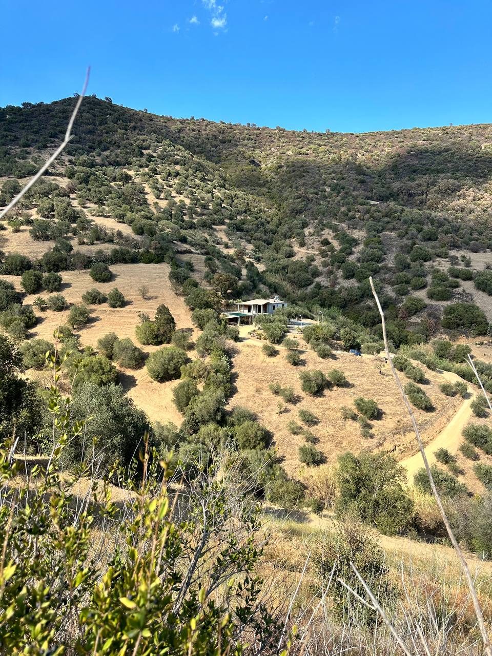 View across the Ogliastra hills from the Sa Medada land